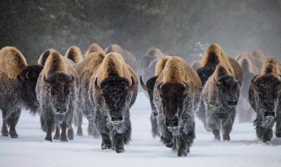 河北海德科技发展有限公司轮播图3